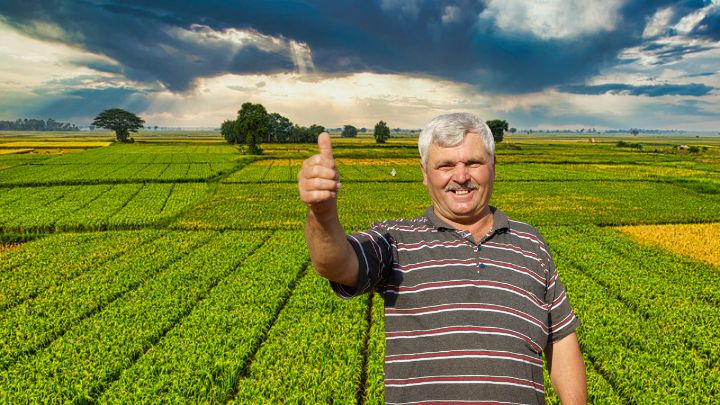 Tarımsal Ürün Pazarlama Eğitimleri